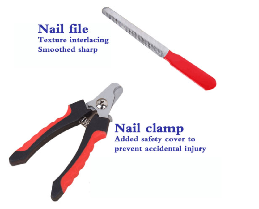 Kit de Aseo "Pro Groom"