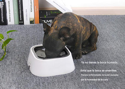 Bebedero Antiderrame "Cool Sip"