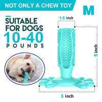 Juguete Mordedor "Dental Paw"
