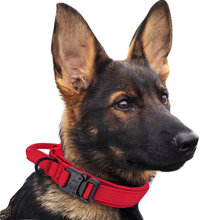 Collar Tactico -Tactical Pro-