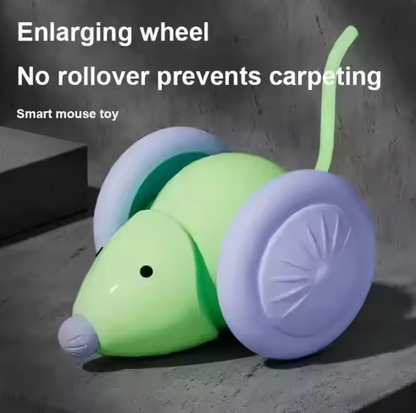 Juguete Interactivo "Play Mouse"