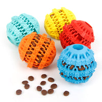 Pelota Dental "Treat Roller"