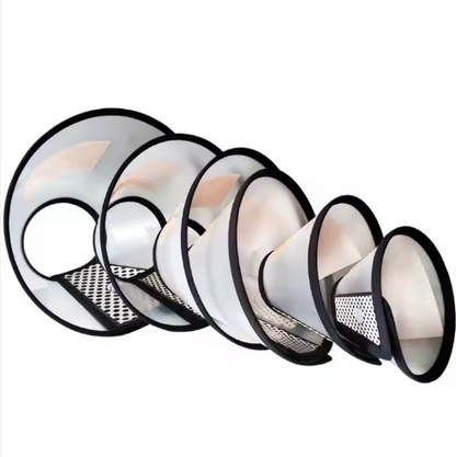 Collar  "Isabelino Pet"