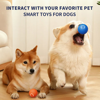 Pelota Interactiva "Smart Fetch"