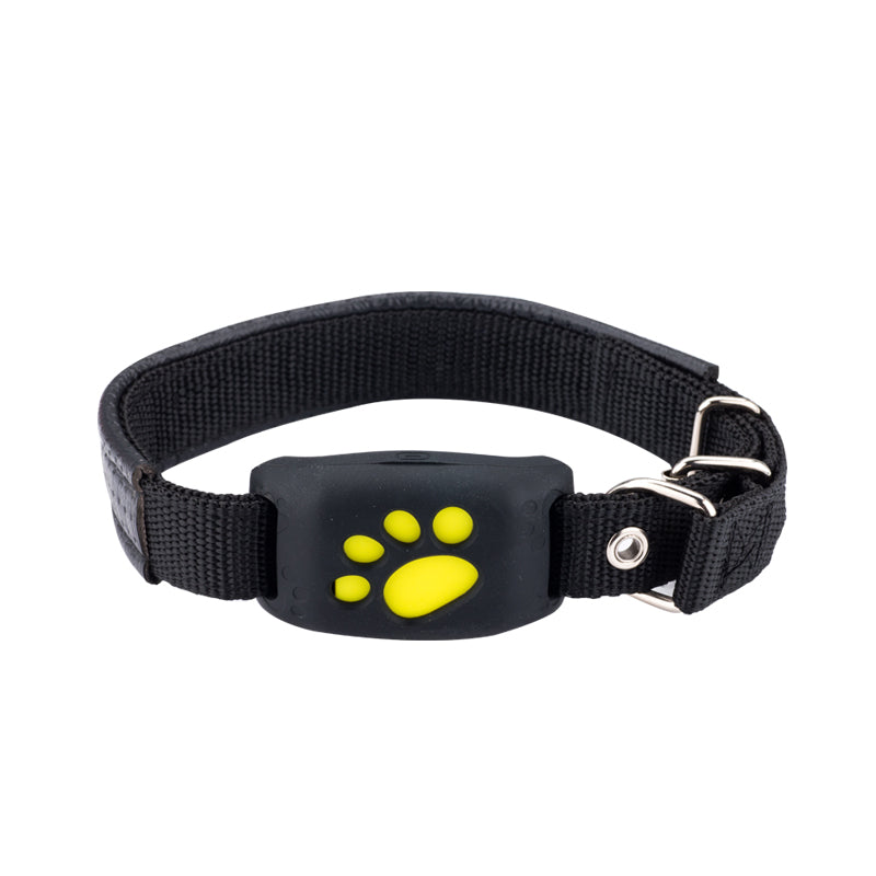 Collar GPS de Seguridad "SafePaw"
