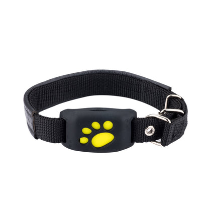 GPS -Safe Paw-