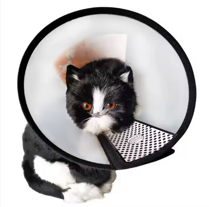 Collar  "Isabelino Pet"