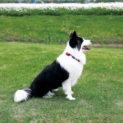 Collar "Camouflage Style"