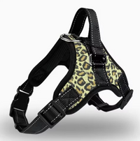 Arnés "Ergonomic fit"