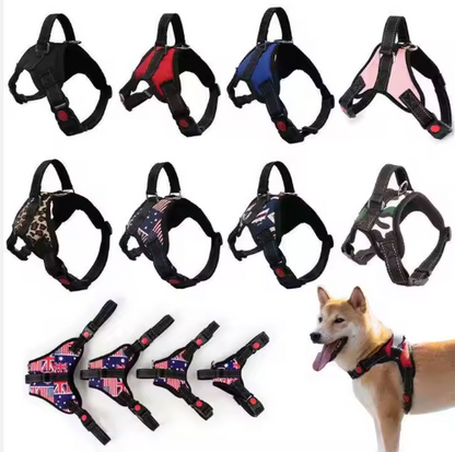 Arnés "Ergonomic Fit"