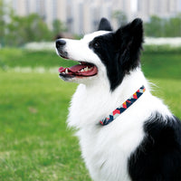 Collar -Camouflage Style-
