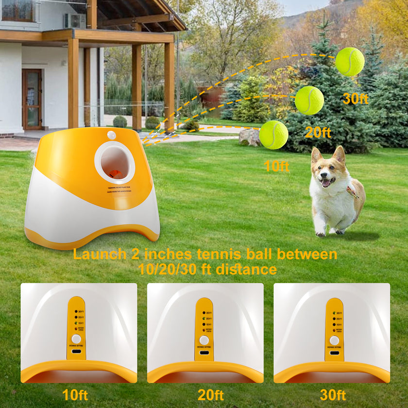Lanzador de Pelotas "Fetch Pro"