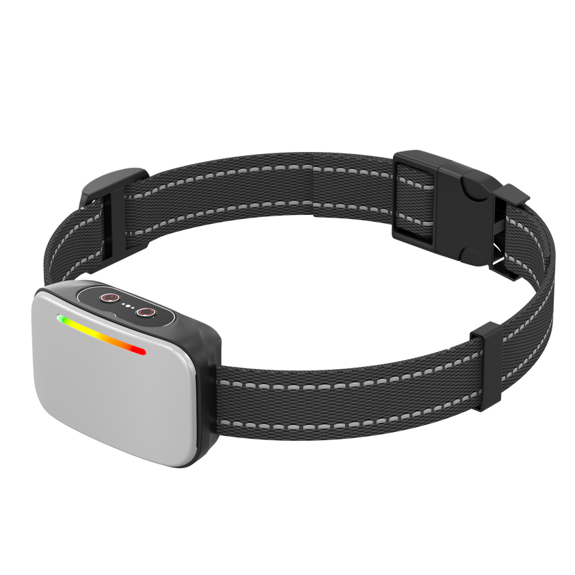 Collar de Entrenamiento Inteligente -Smart Trainer-