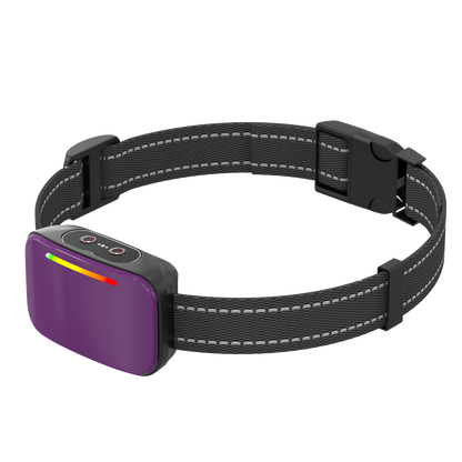 Collar de Entrenamiento "Smart Trainer"