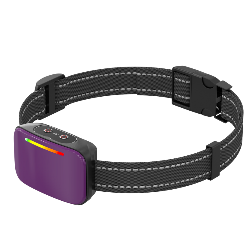 Collar de Entrenamiento Inteligente -Smart Trainer-