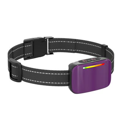 Collar de Entrenamiento "Smart Trainer"