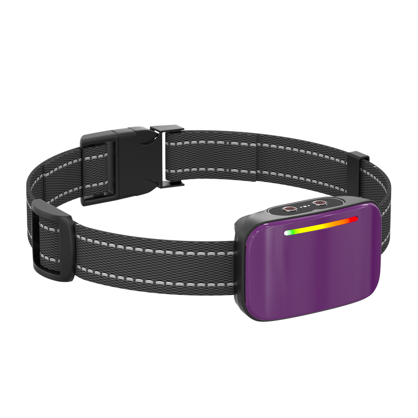 Collar de Entrenamiento Inteligente -Smart Trainer-