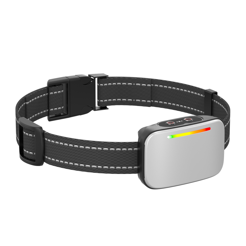 Collar de Entrenamiento Inteligente -Smart Trainer-