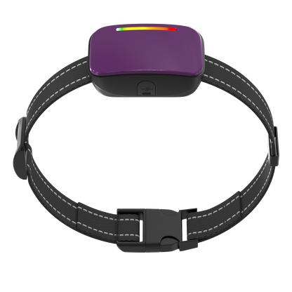 Collar de Entrenamiento "Smart Trainer"