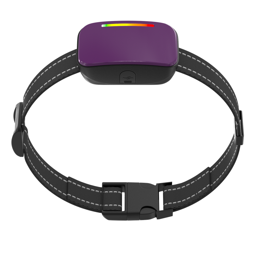 Collar de Entrenamiento Inteligente -Smart Trainer-
