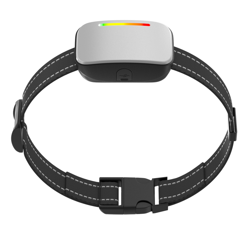 Collar de Entrenamiento Inteligente -Smart Trainer-