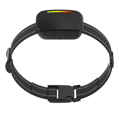 Collar de Entrenamiento "Smart Trainer"