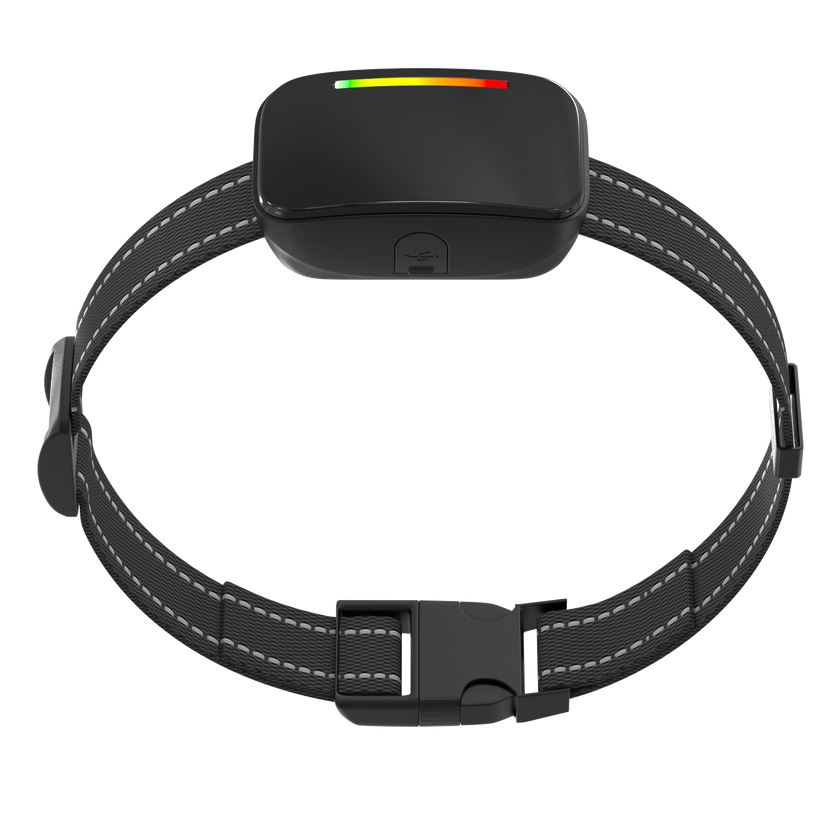 Collar de Entrenamiento Inteligente -Smart Trainer-