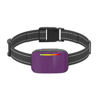 Collar de Entrenamiento Inteligente -Smart Trainer-