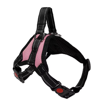 Arnés "Ergonomic Fit"