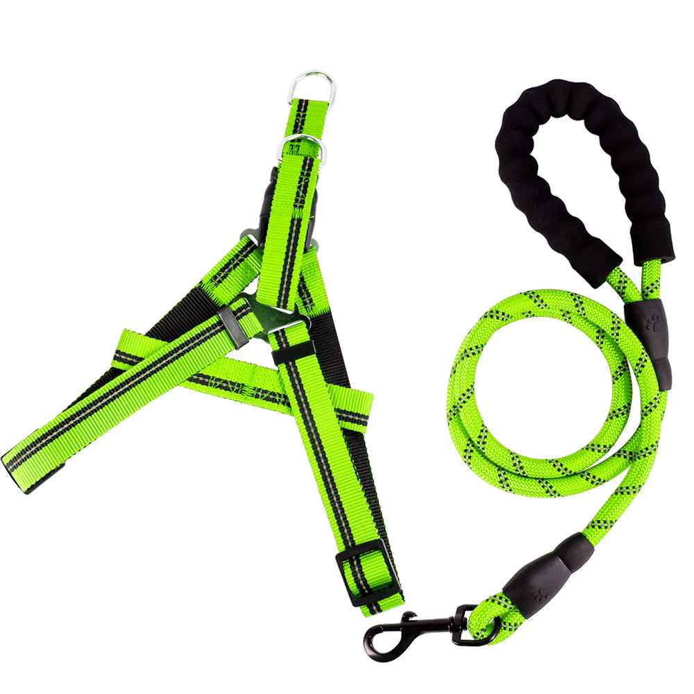 Set de arnes y correa "Dynamic Grip"