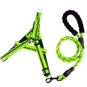Set de Paseo “Dynamic Grip”