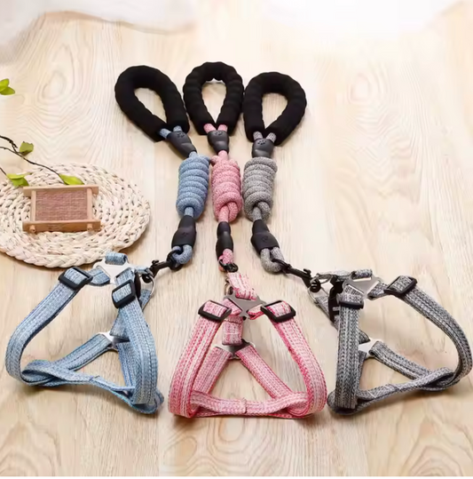 Set de arnes y correa "Soft multicolor"