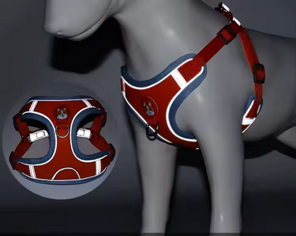 Set de arnes y correa "Confort & Seguridad"