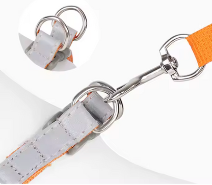 Set de arnes y correa "Confort & Seguridad"