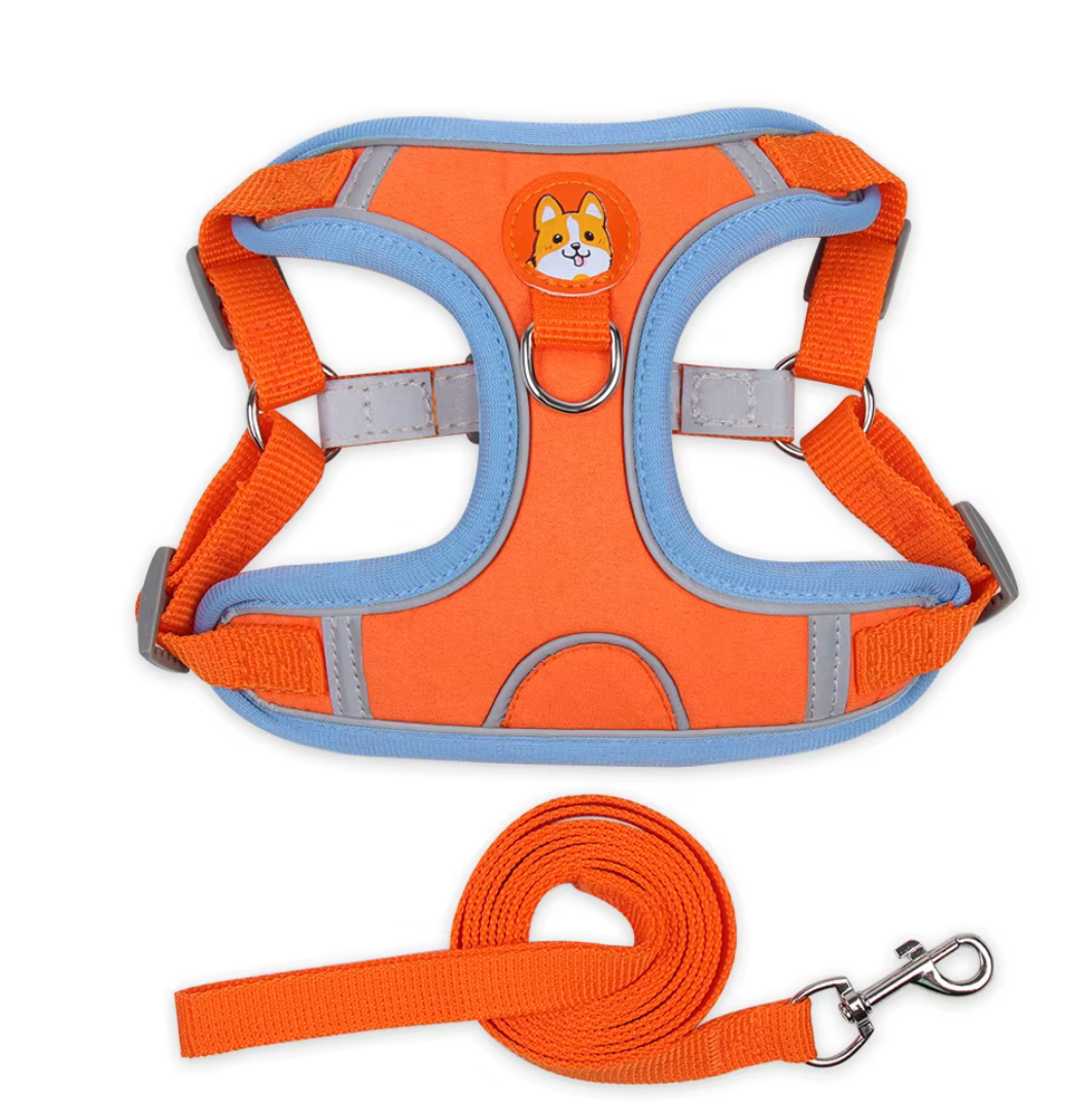 Set de arnes y correa "Confort & Seguridad"