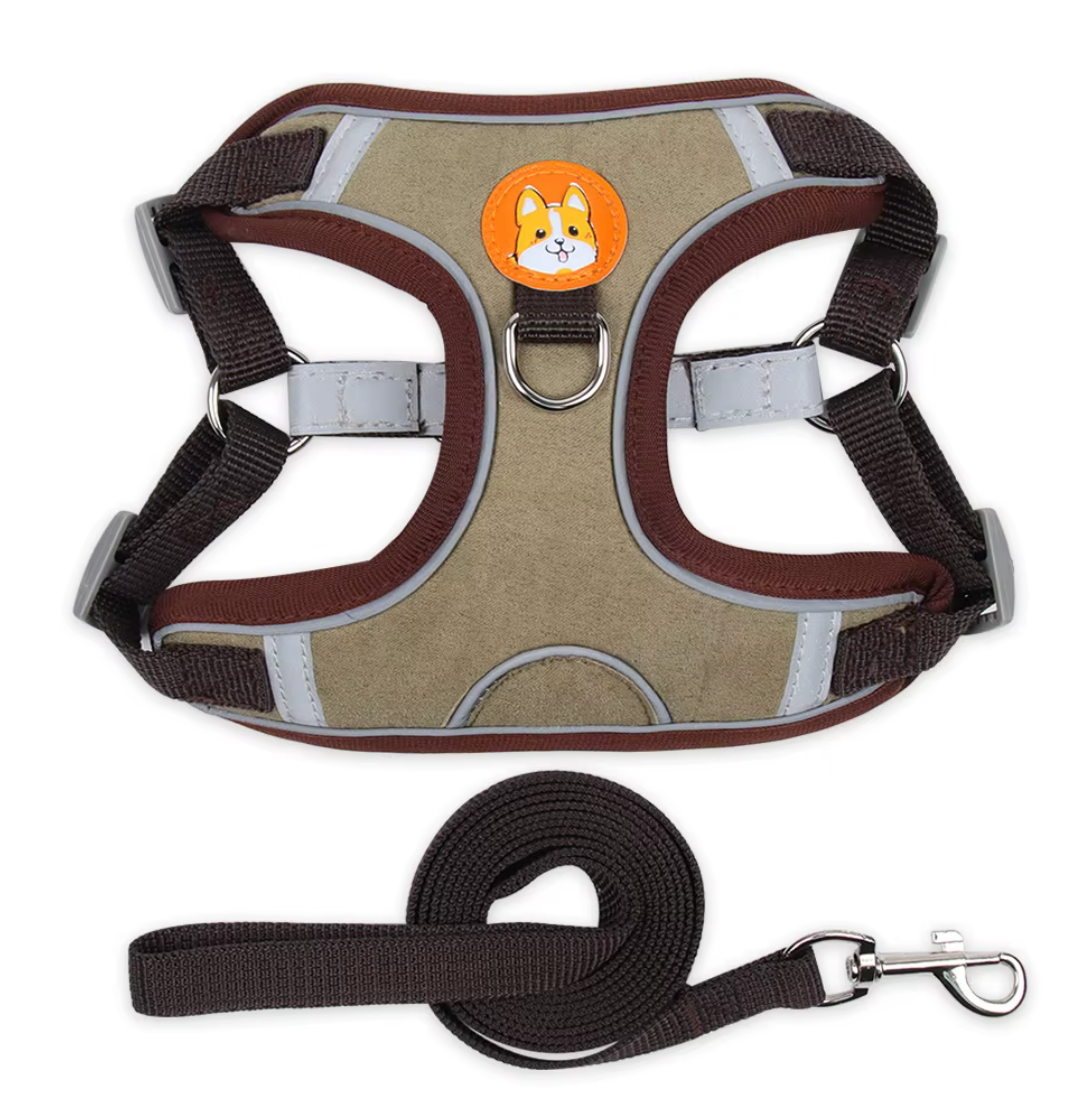 Set de arnes y correa "Confort & Seguridad"