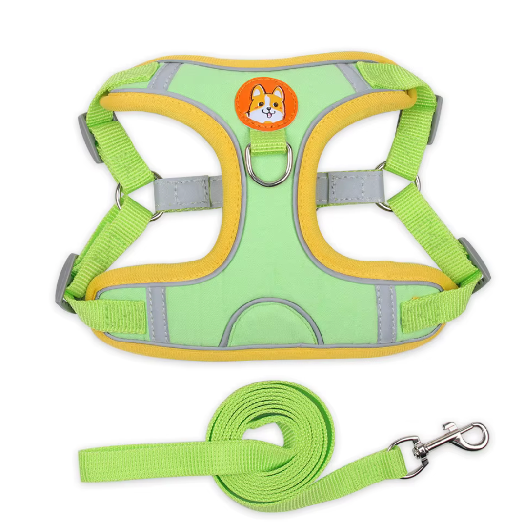 Set de arnes y correa "Confort & Seguridad"