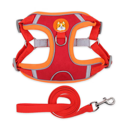 Set de arnes y correa "Confort & Seguridad"