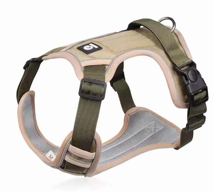 Arnés Premium "PowerGuard"