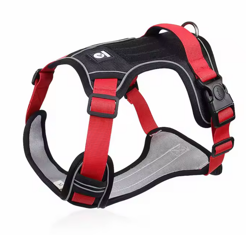 Arnés Premium "PowerGuard"