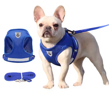 Set de arnés y correa "Reflectante Outdoor"