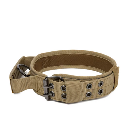 Collar "Seguridad Canin"