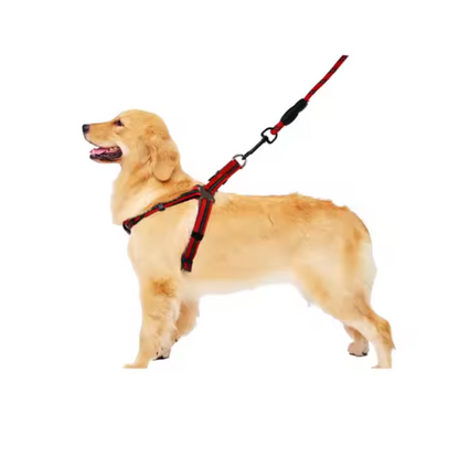 Set de arnes y correa "Dynamic Grip"