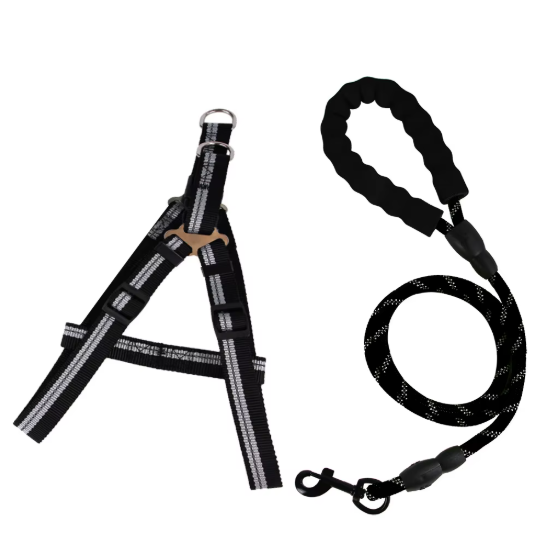 Set de arnes y correa "Dynamic Grip"