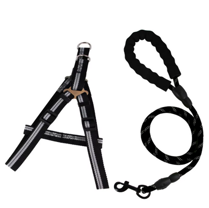 Set de arnes y correa "Dynamic Grip"