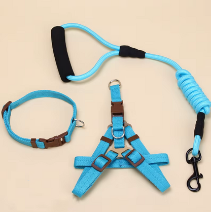 Set de Arnés, Correa y Collar "Big Harmony"