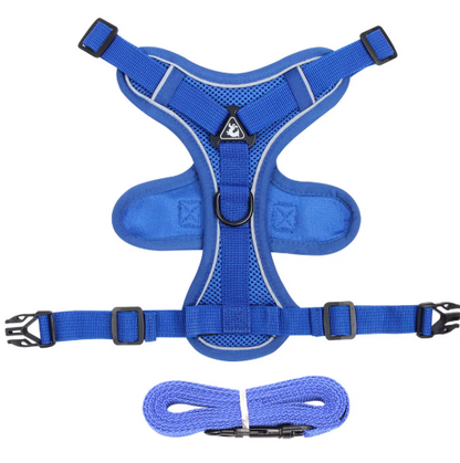 Set de Arnés y Correa “ColorMax”