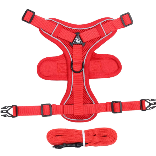 Set de Arnés y Correa “ColorMax”