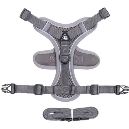 Set de Arnés y Correa “ColorMax”