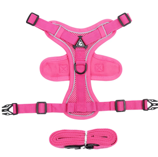 Set de Arnés y Correa “ColorMax”